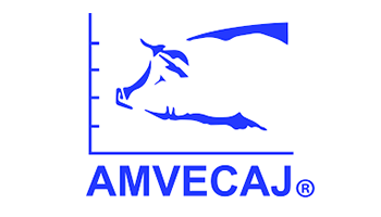 AMVECAJ